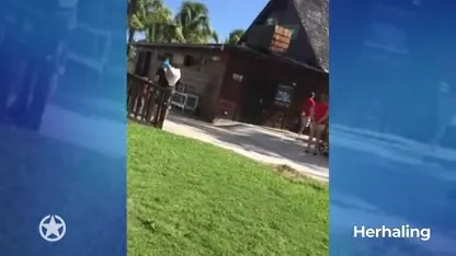 KUSFOTO: 'André op zijn knieën voor ex Monique'