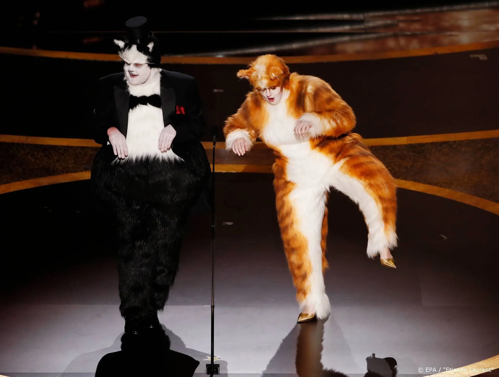 Cats grootste 'winnaar' bij Razzies