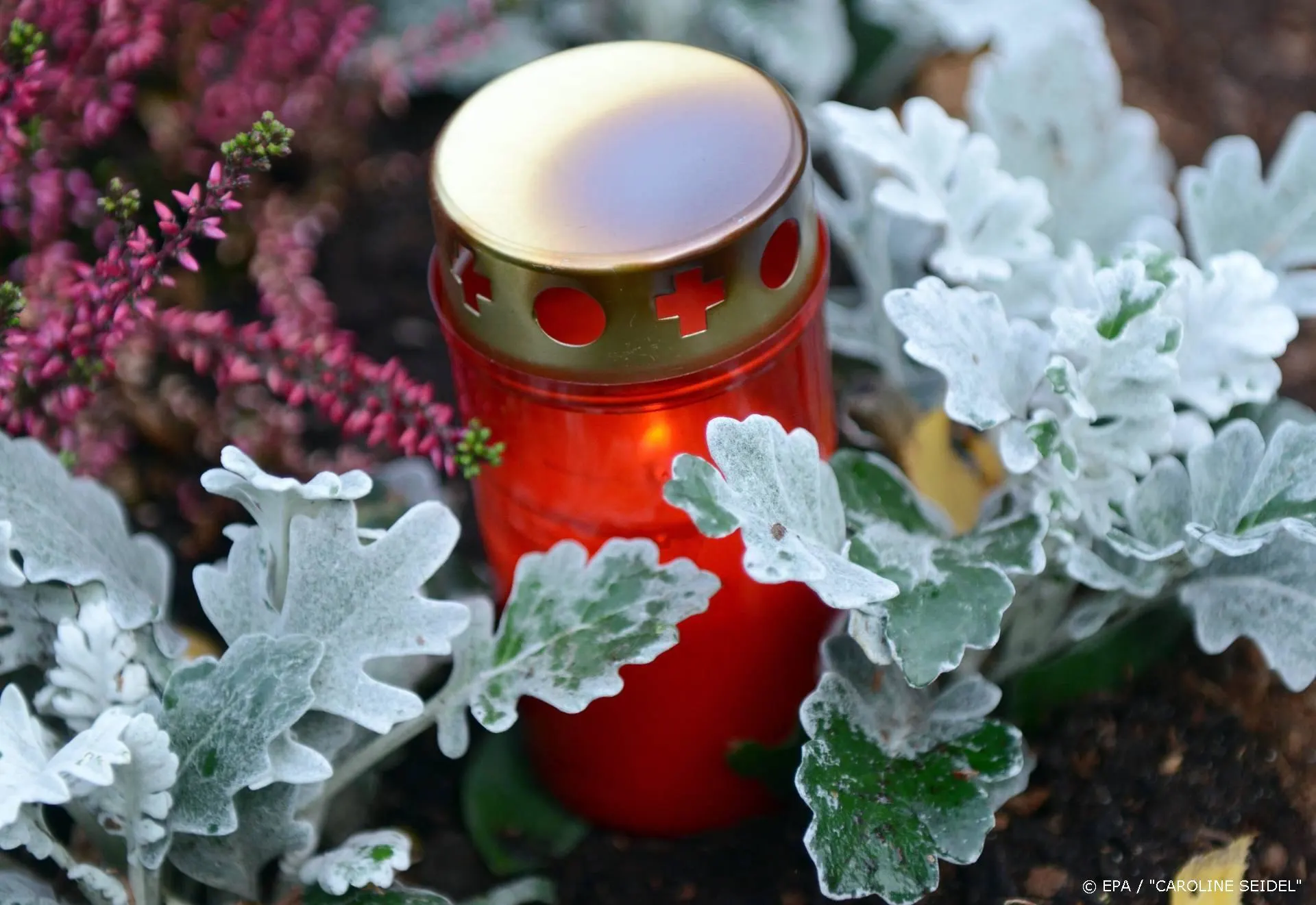 Komiek Fred Willard overleden op 86-jarige leeftijd