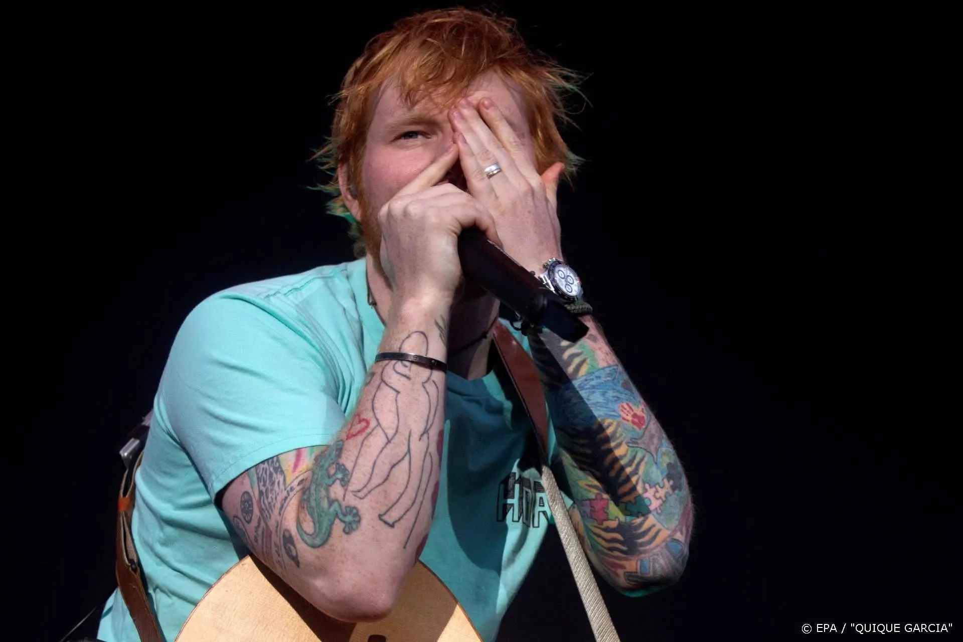 'Vos eet kippen Ed Sheeran op'