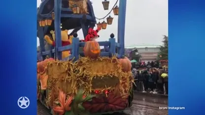 Grote droom kleine André komt uit