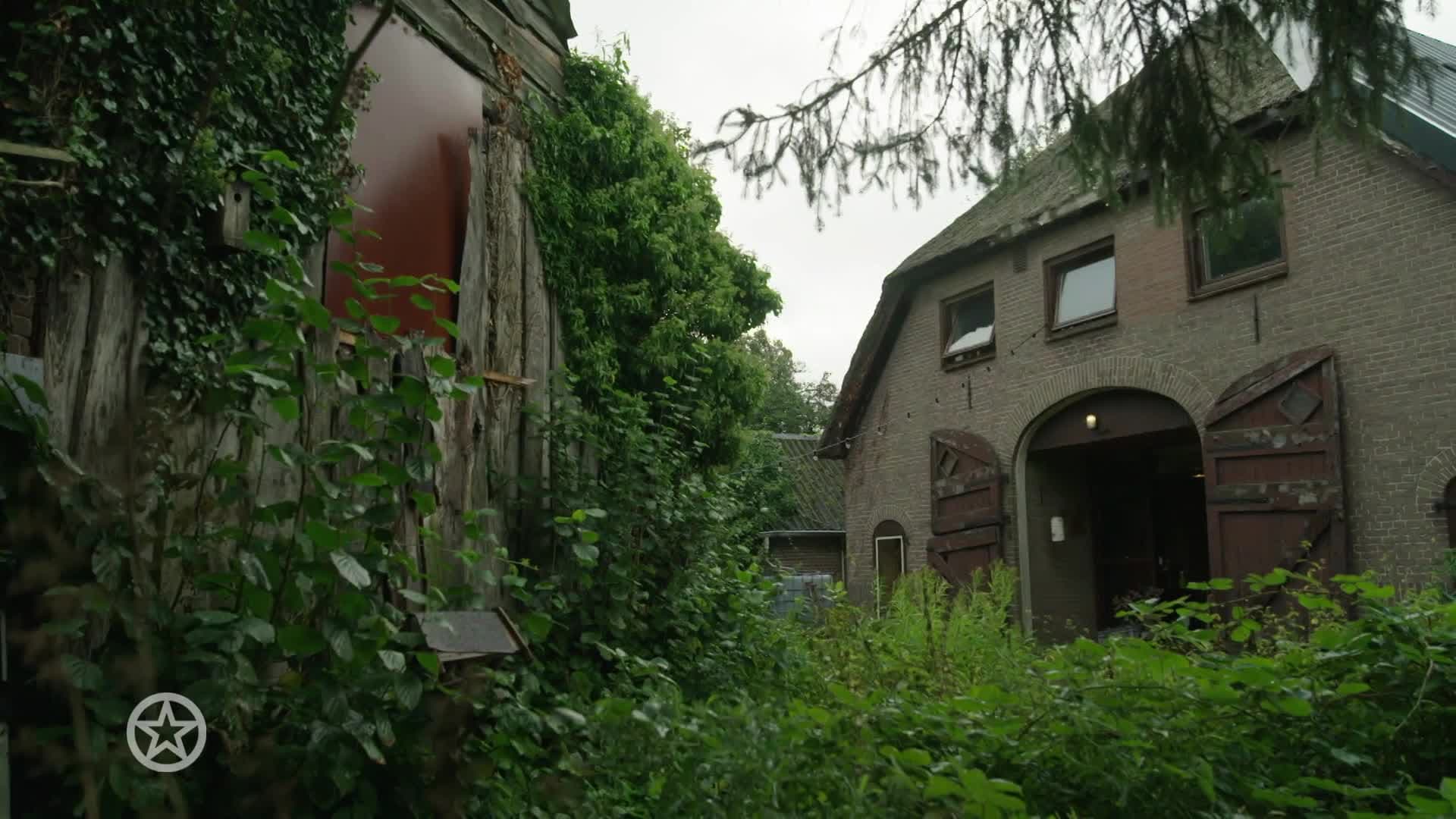Gordon te gast in Boerderij van Dorst