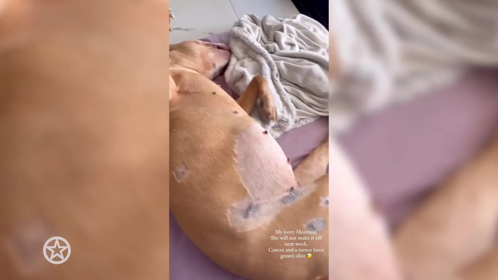 Nieuw drama voor Temptation-verleider na overlijden vriendin