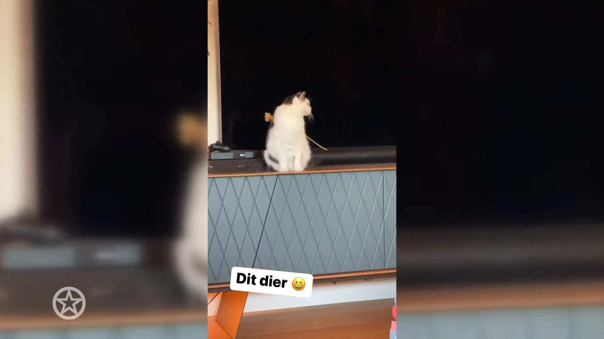 Marieke Elsinga doet bijzondere ontdekking