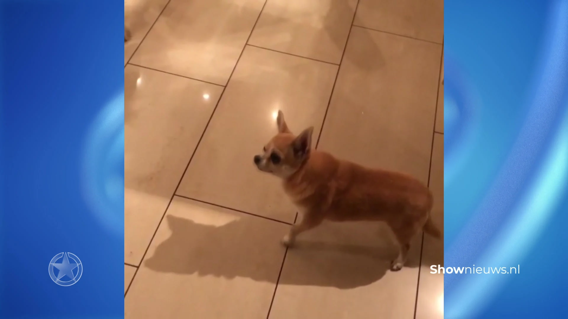 Mariska Bauer vat dief in de kraag