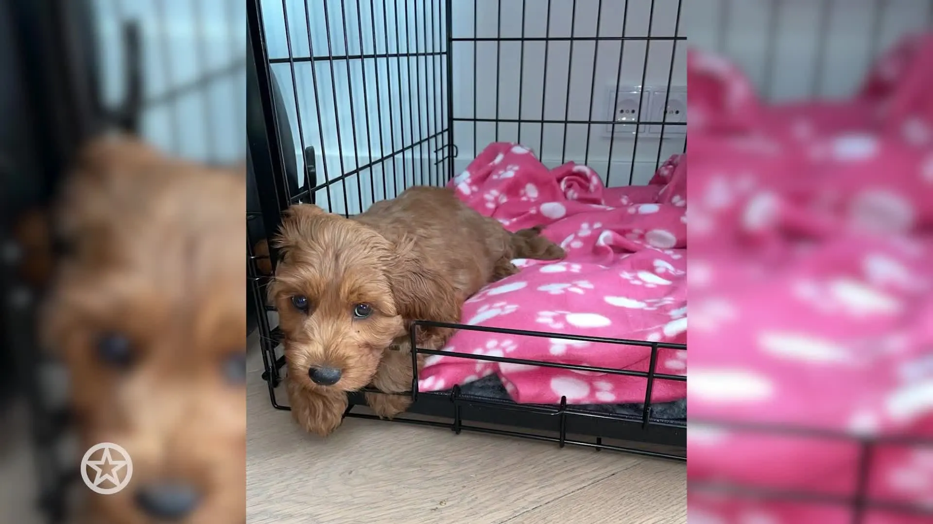 Jada Borsato verwelkomt nieuw gezinslid