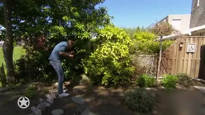 Gekukel van haan Harrie brengt buren tot wanhoop in Mr. Frank Visser doet Uitspraak