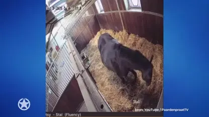 Britt Dekker in zevende hemel door klein wondertje