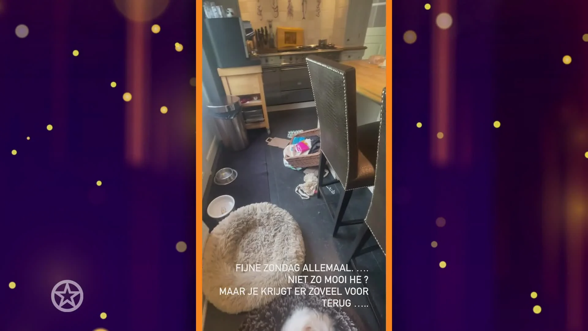 Frustratie bij de Frogers na vernieling huis