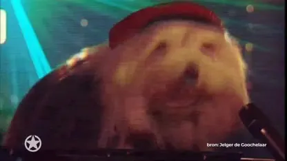 Superfan Jelger wil met eigen lied Samson & Gert naar Nederland halen