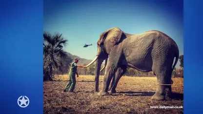 Prins Harry onder vuur om olifantenfoto