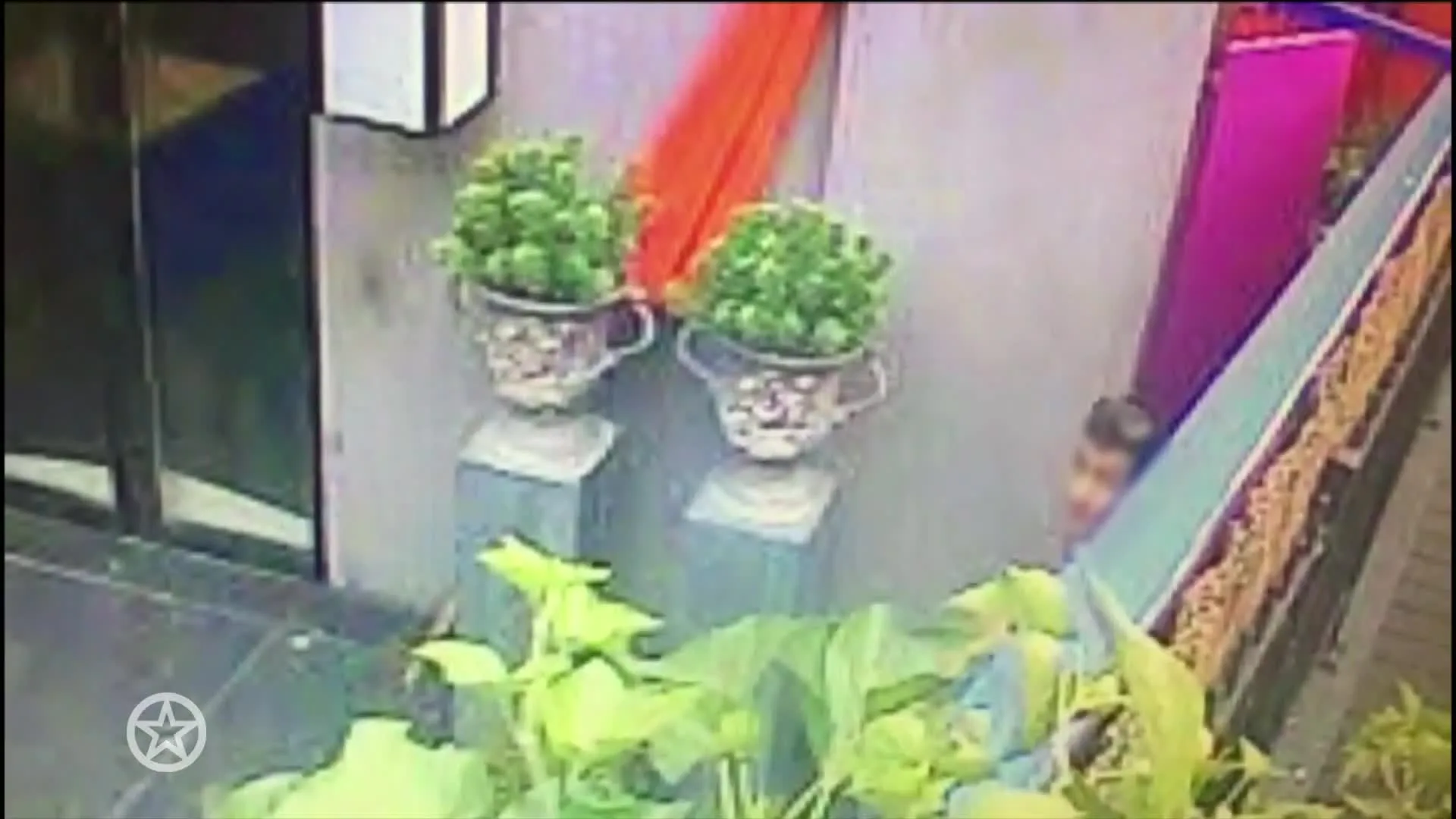 Verdachten inbraak Connie Witteman ook in hoger beroep veroordeeld