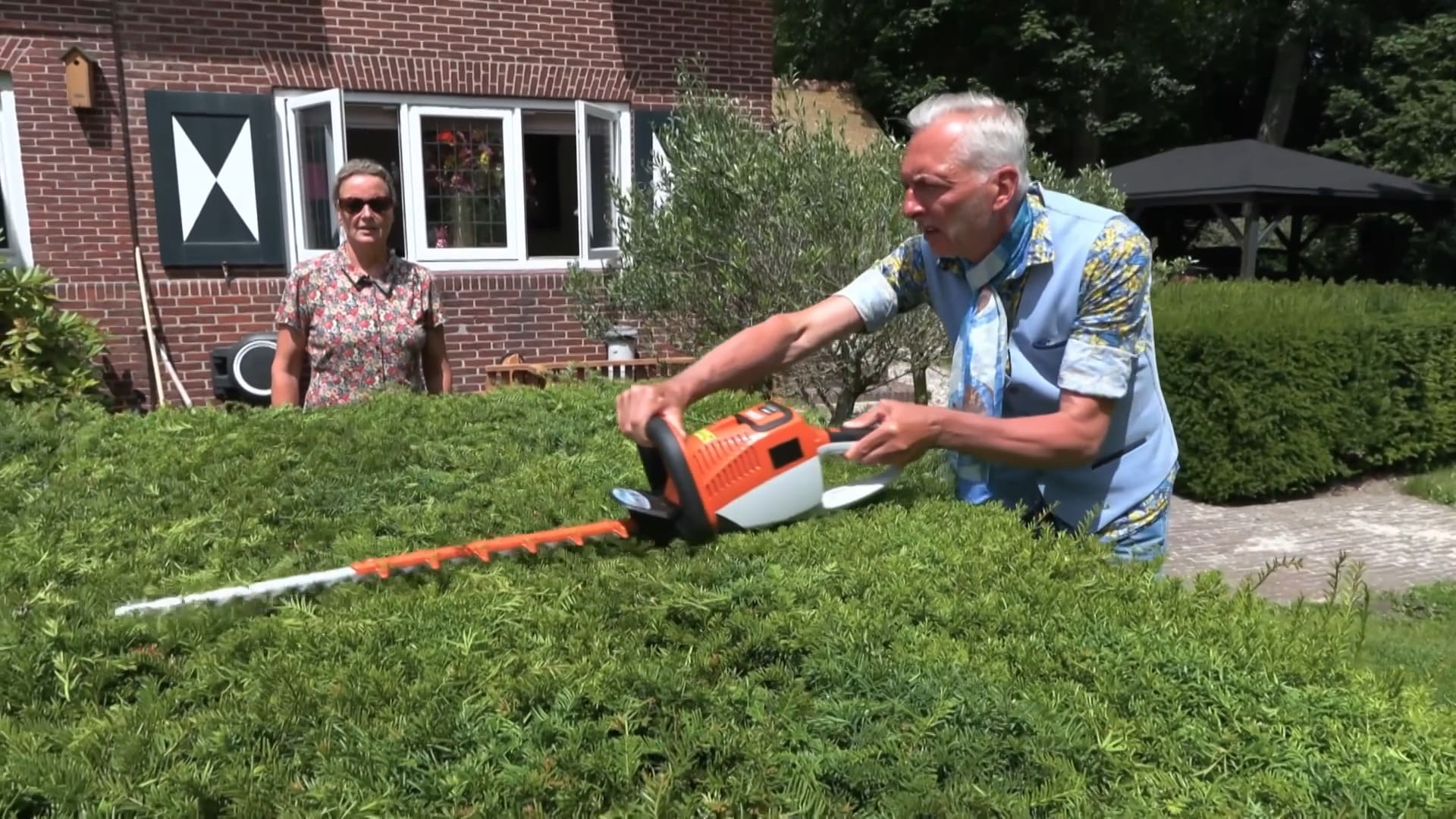 Martien gaat de heg snoeien met GEVAAR voor EIGEN LEVEN!