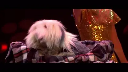 Marie Verhulst: "Mijn leven staat op zijn kop"