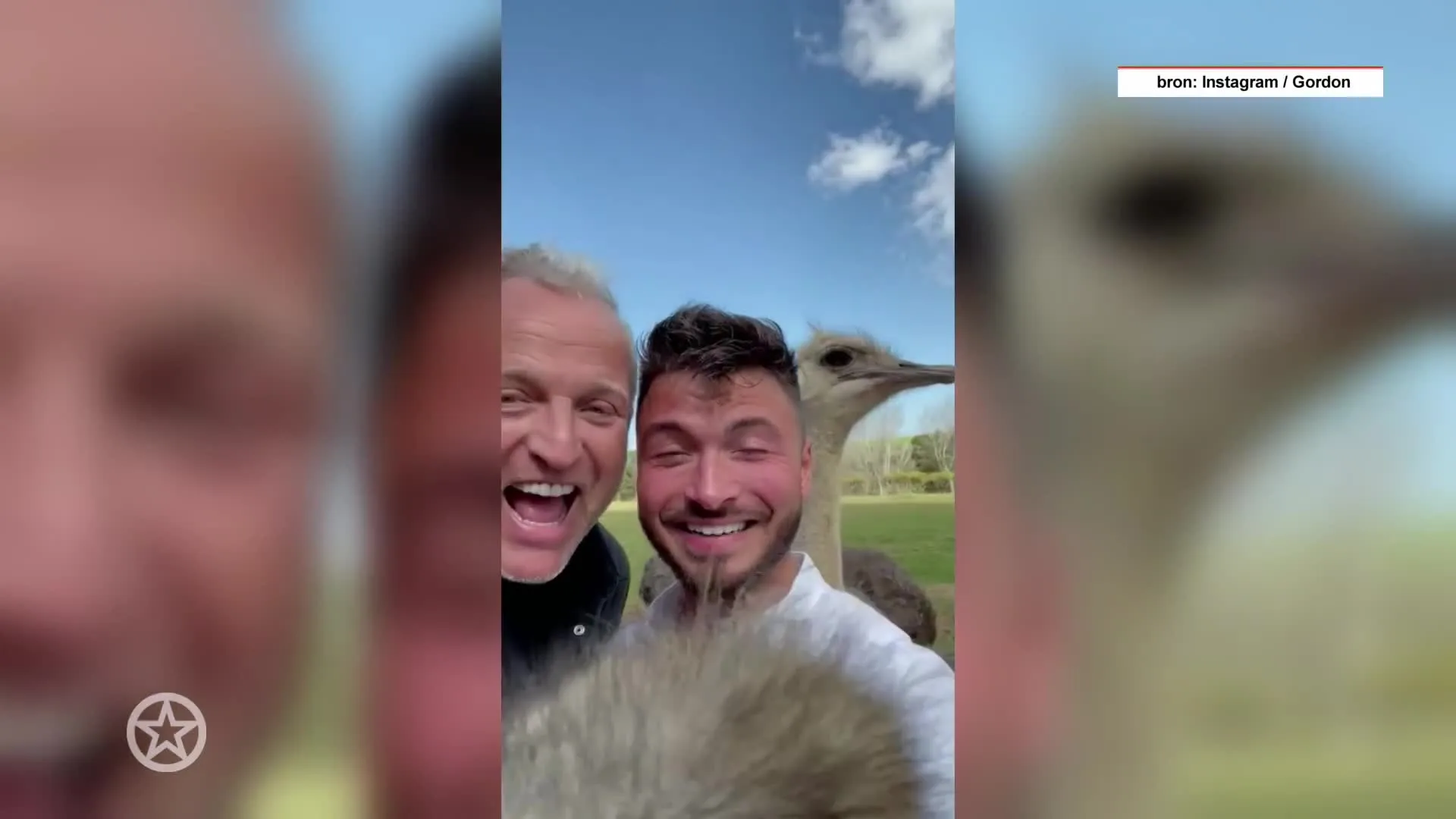 De showbizzbreuken van 2022