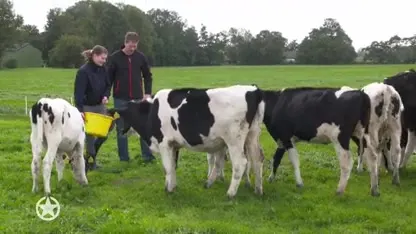 Vreselijk nieuws dreigt voor boer Henk en Fiona