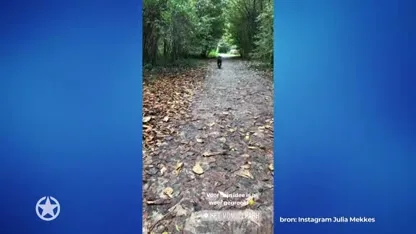 Ex-vriendin Dave Roelvink ziet haar schatje weer