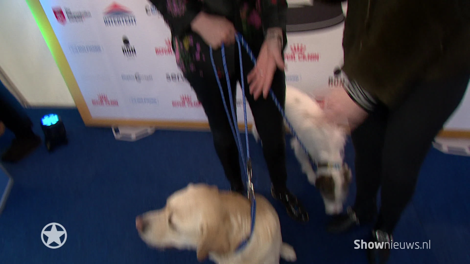 Viervoeters van BN'ers verrast met sterrendiner