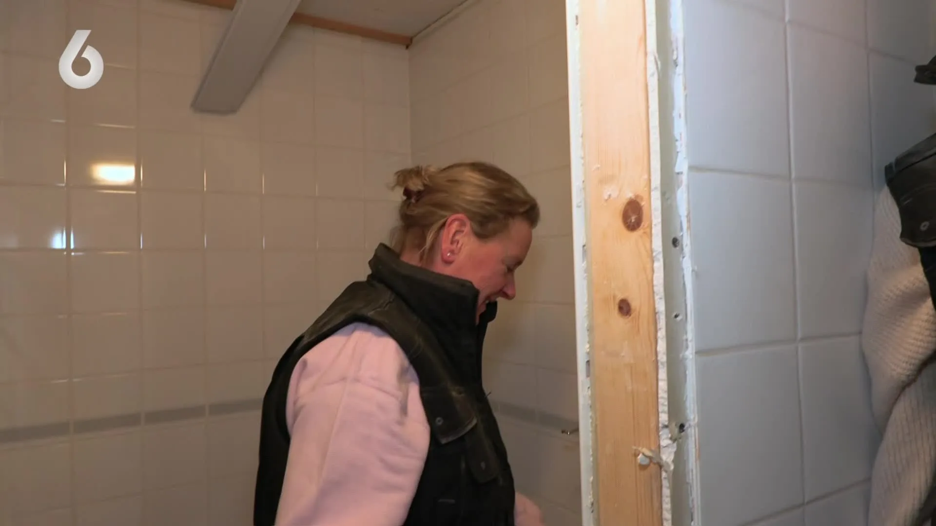 Honden Meilandjes poepen in pension