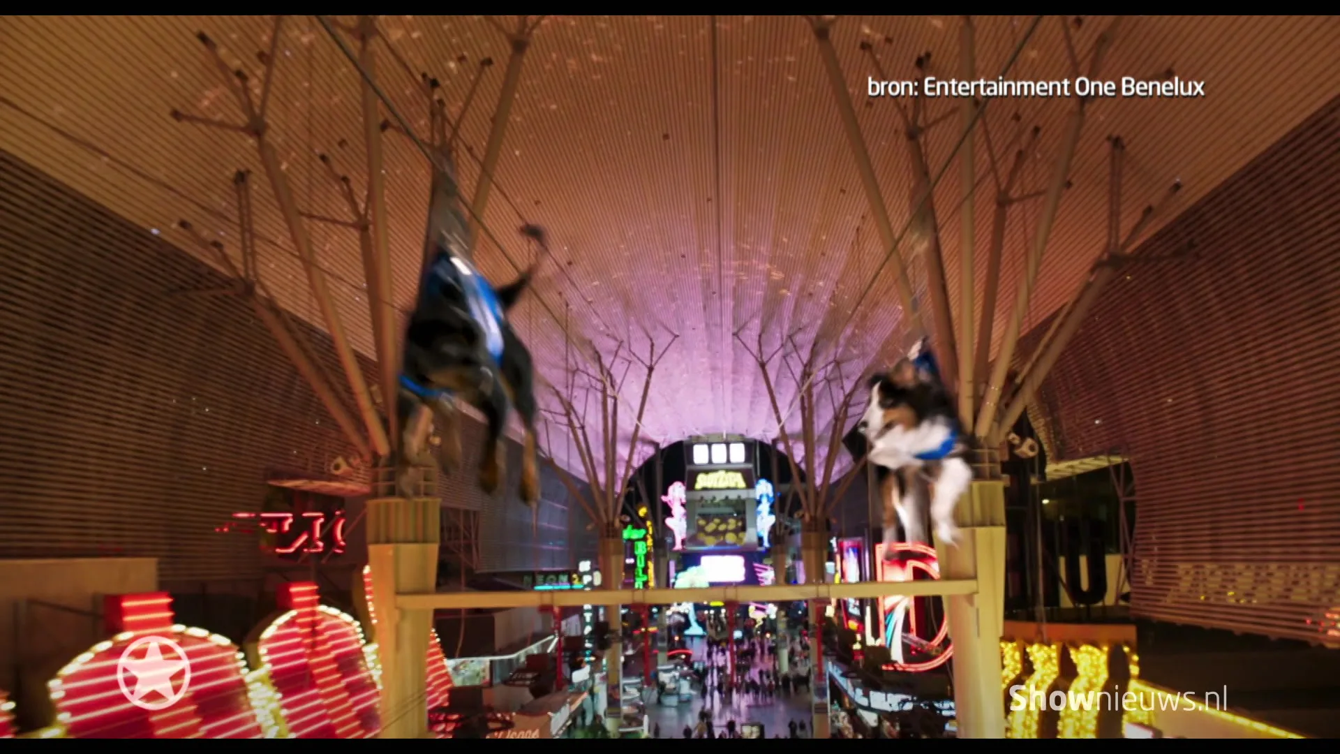 Dionne Slagter keft erop los