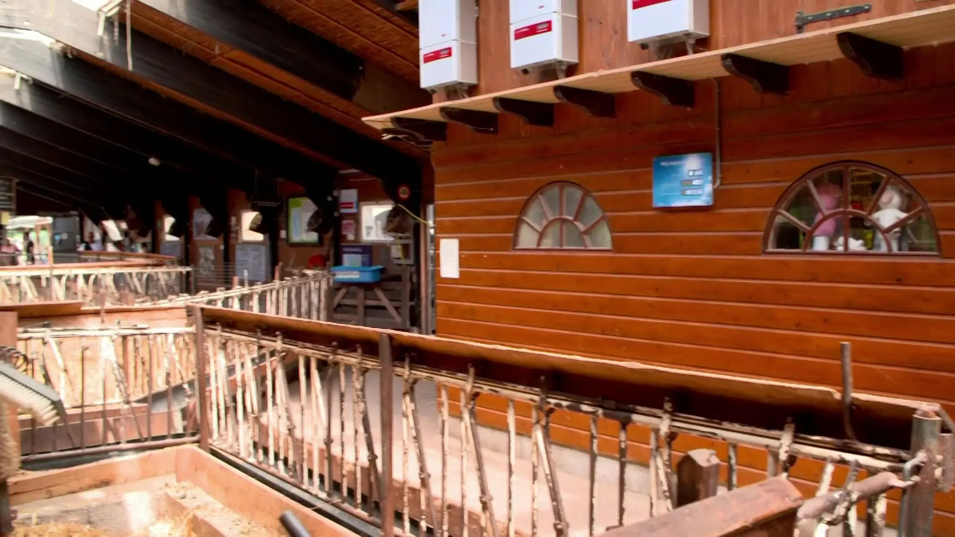 Shakira melkt geitjes in Amsterdamse Bos na Ziggo Dome-concert