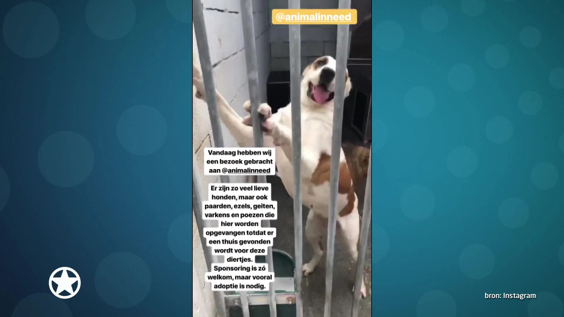 Show Update: André en Monique komen in actie