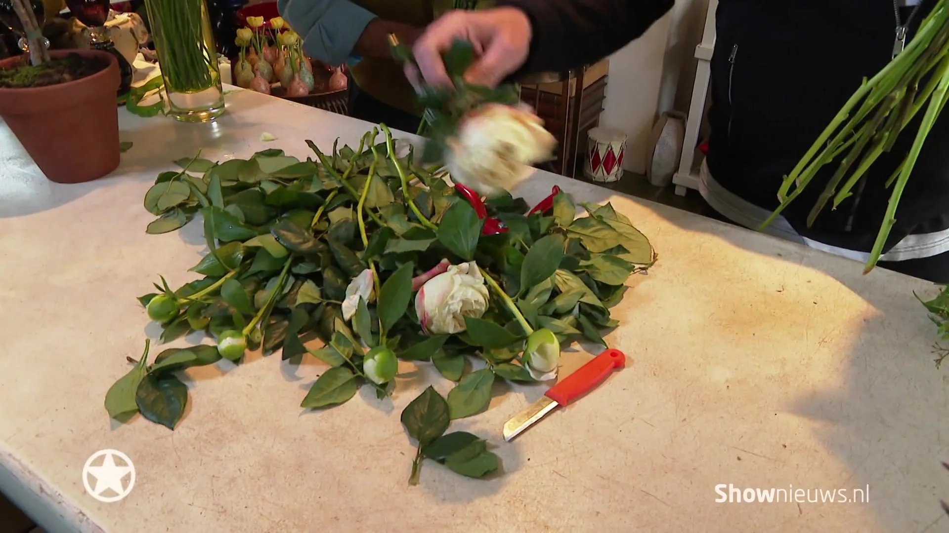 Met welke bloemen verrassen Harry en Meghan ons? Maik zocht het uit!