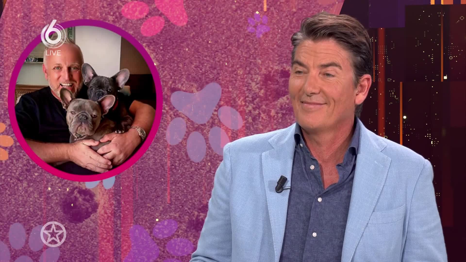 ZIEN: Hondjes Gordon krijgen eigen huis