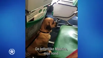 Goedele Liekens moet wennen aan gipsen been