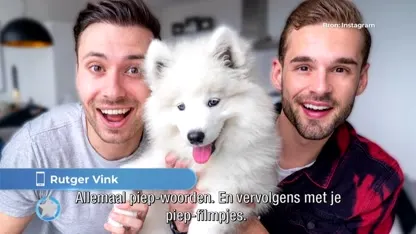 Rutger Vink, vriend Thomas en puppy Paco bedreigd en flink uitgescholden op straat