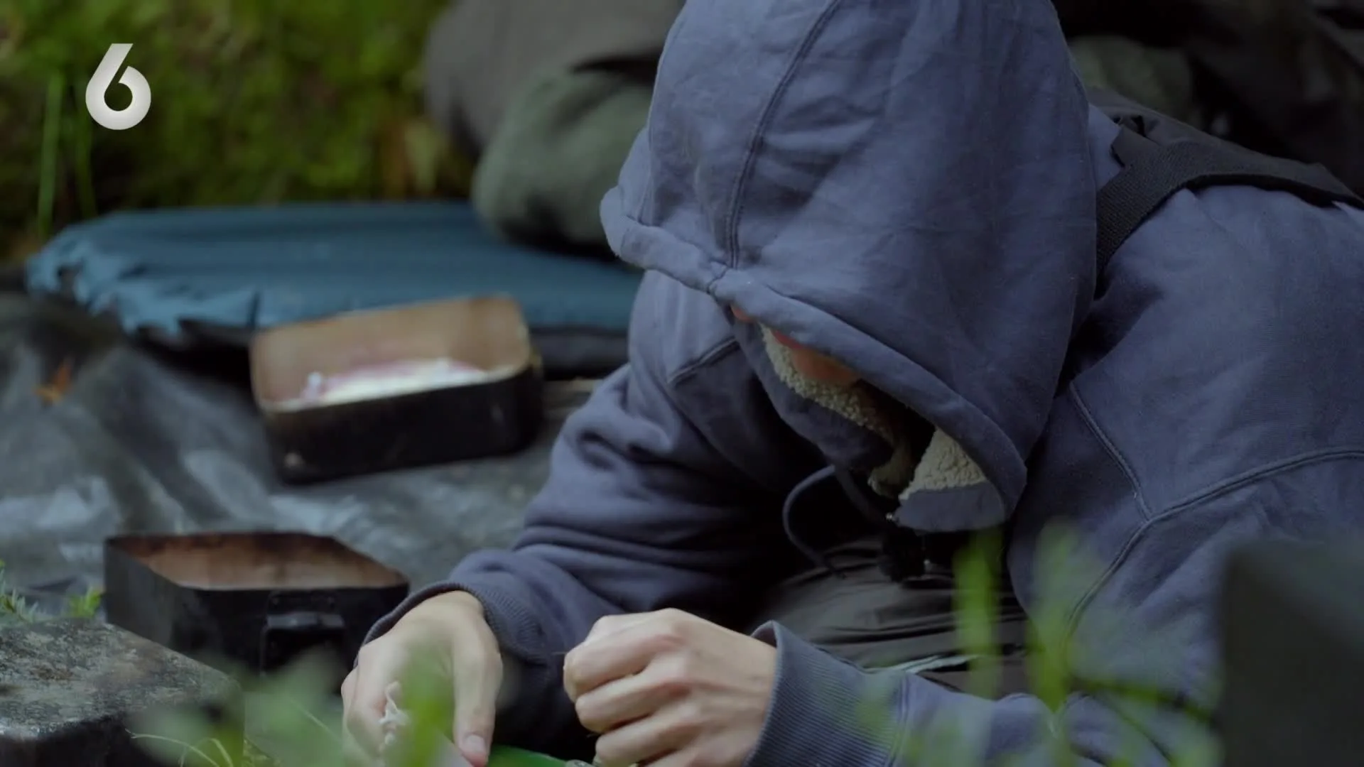 Kip geslacht in No Way Back