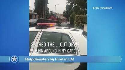 Show Update: Hulpdiensten bij Hind in LA!