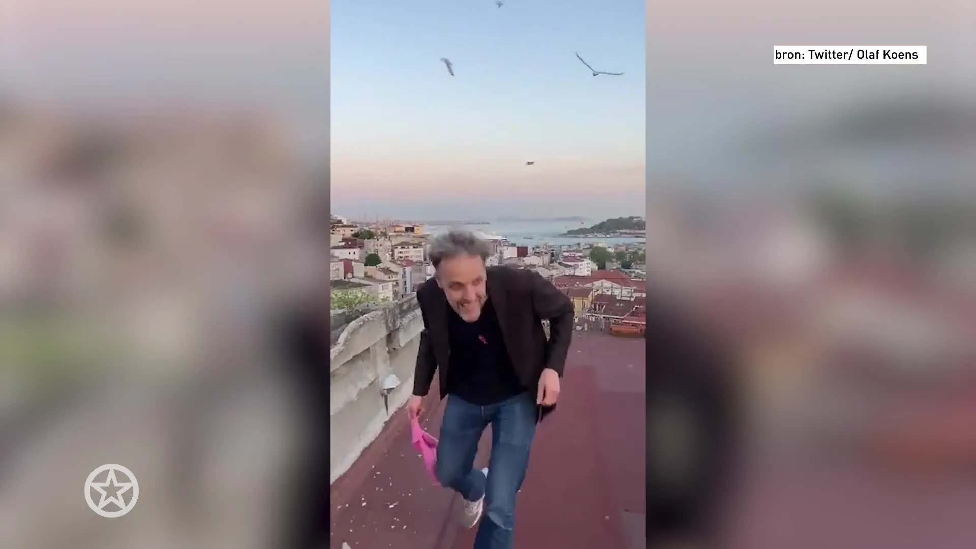 Meeuwen verjagen correspondent Olaf Koens van vaste locatie