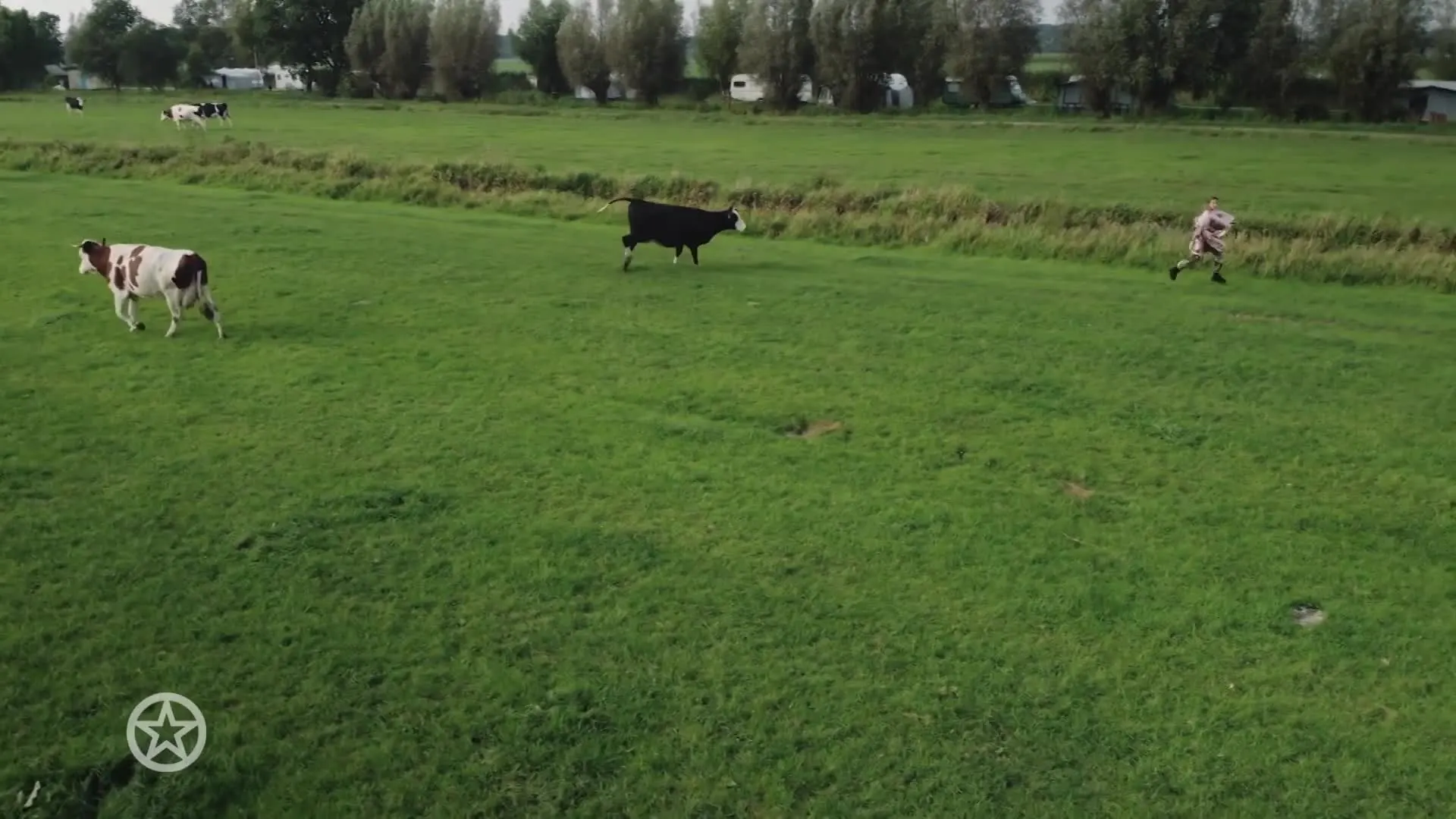 Georgina moet rennen voor leven