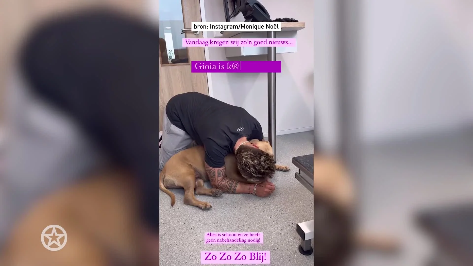 Hond André Hazes en Monique Westenberg weer kankervrij