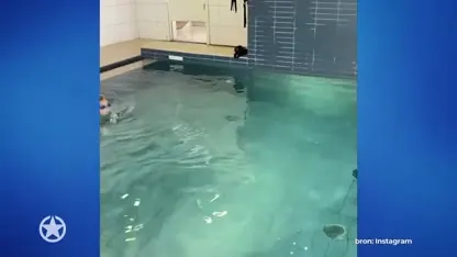 Fans stomverbaasd na knappe prestatie André Jr