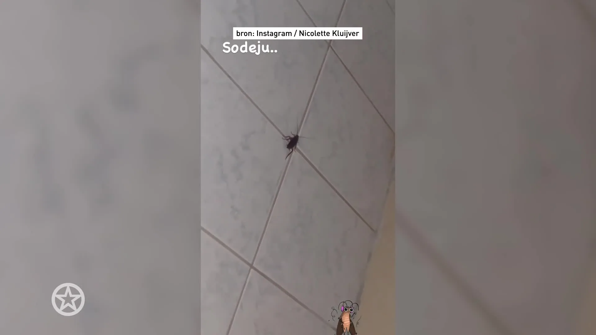 Nicolette Kluijver schrikt enorm van ongenode gast in huis