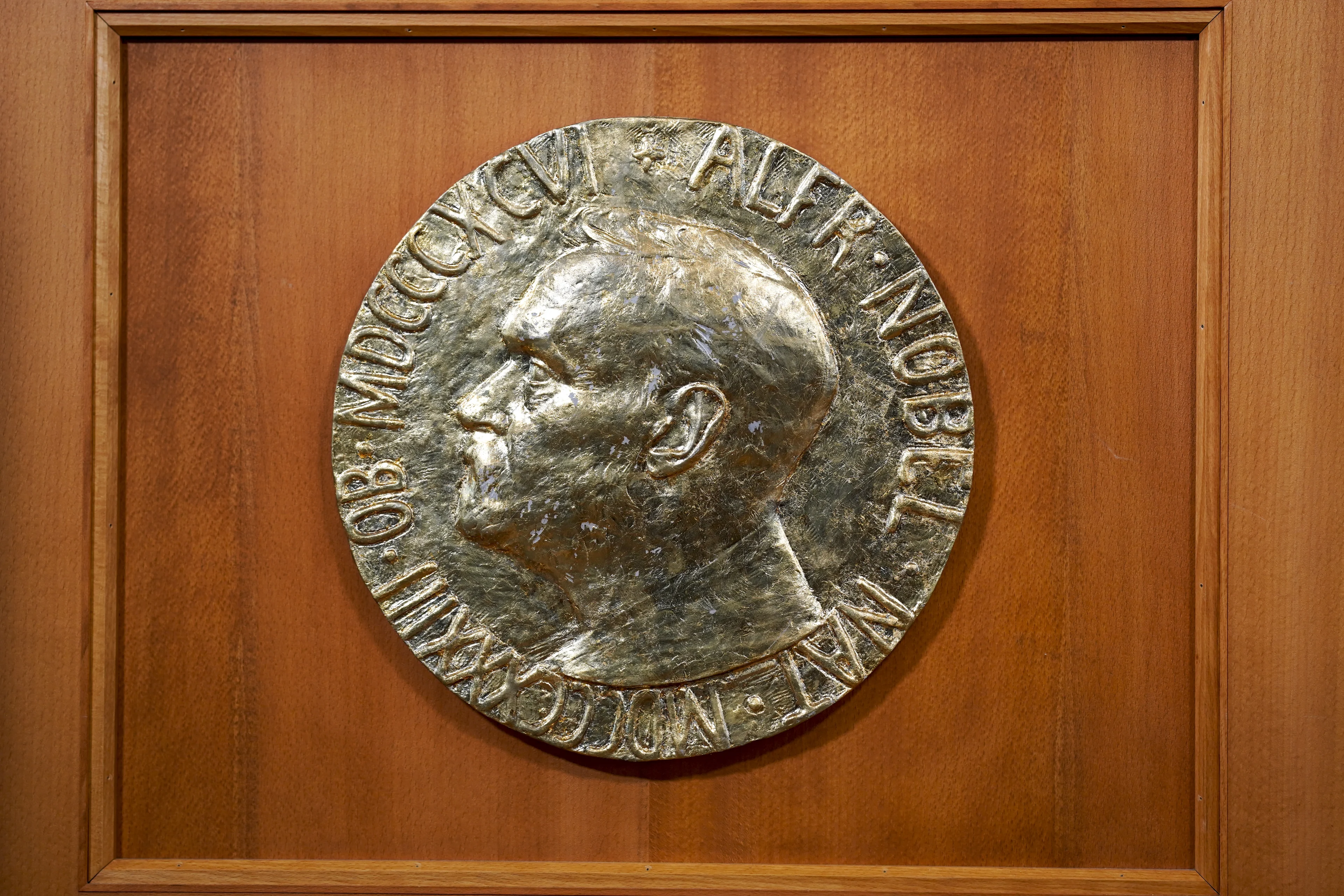 Hier is de Nobelprijs voor de Vrede dit jaar aan toegekend