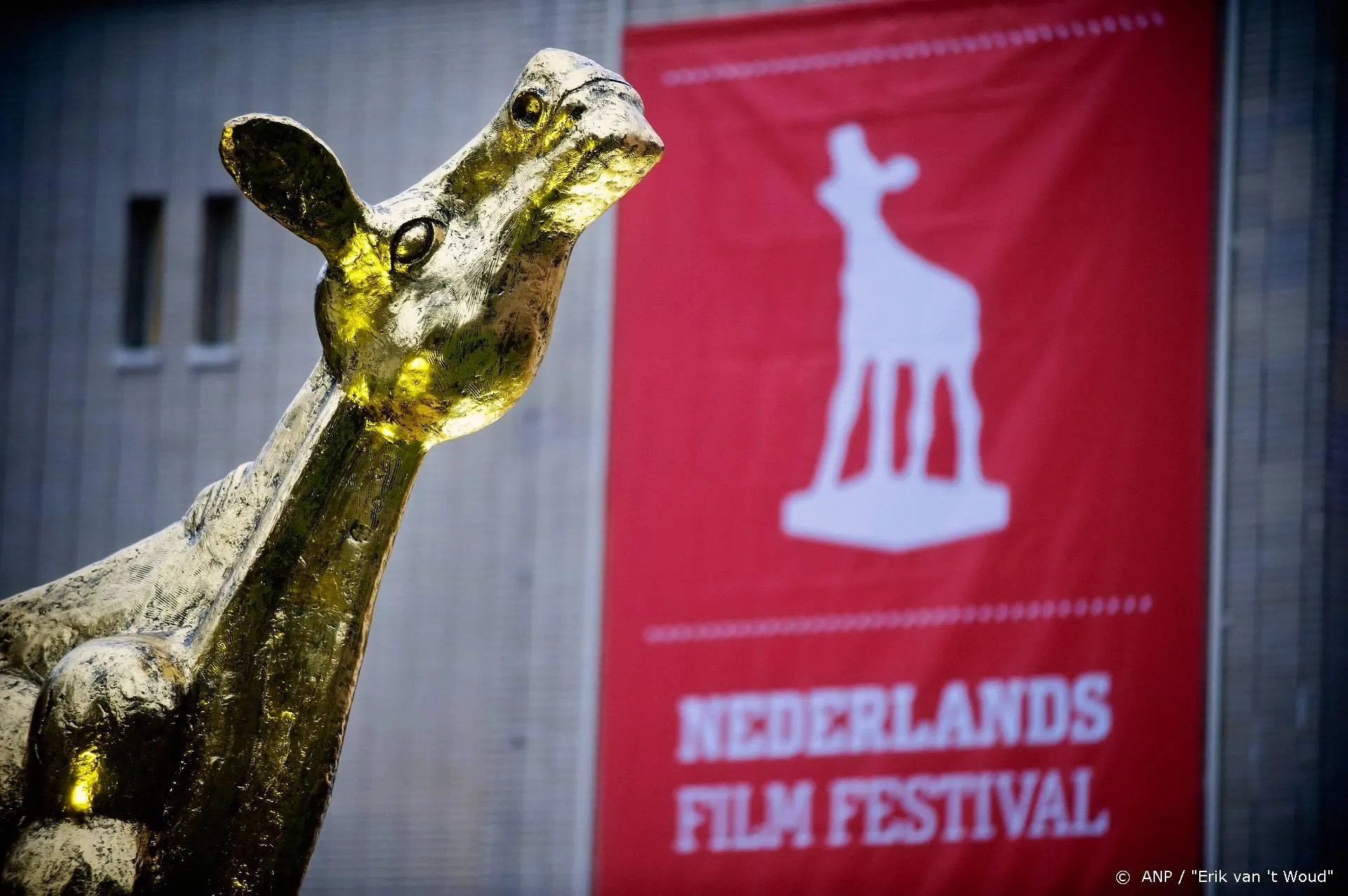 NFF viert 40-jarig bestaan met top 40 Gouden Kalf-winnaars