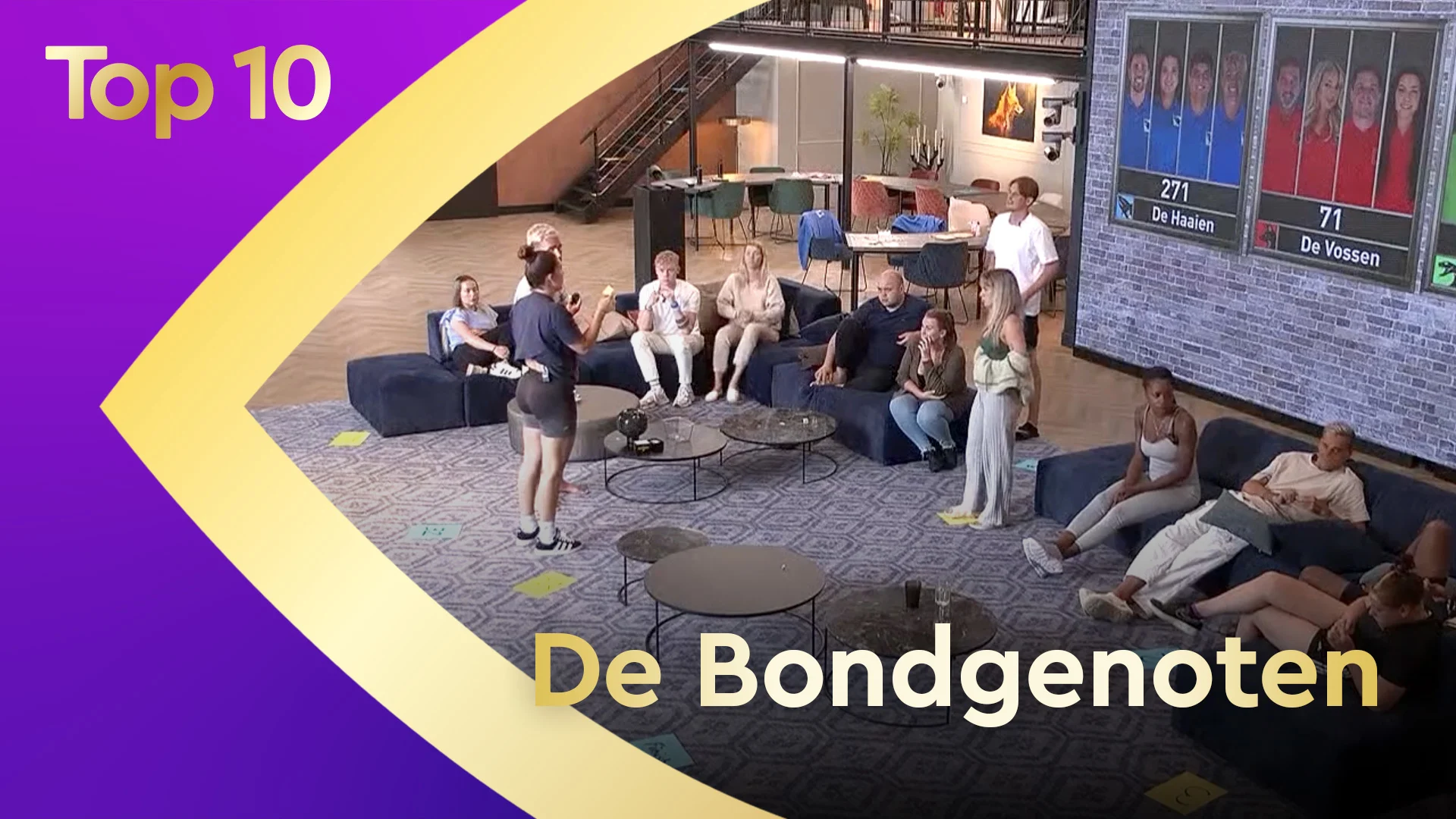Hoogtepunten De Bondgenoten