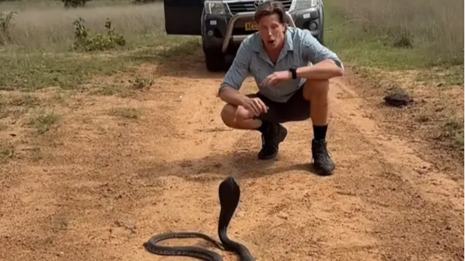 Volgers in shock om levensgevaarlijke Freek Vonk-video