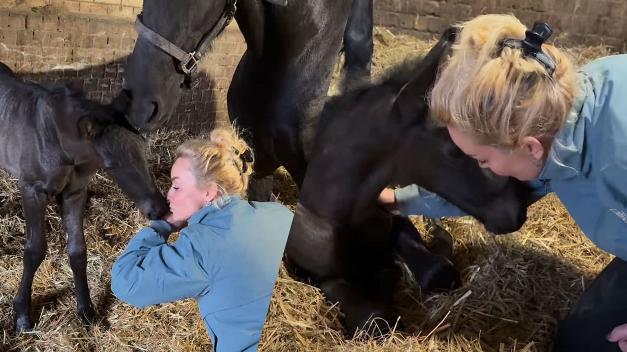 Samantha Steenwijk vernoemt veulen naar André Hazes