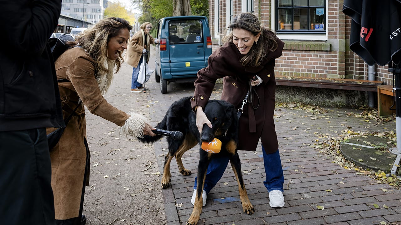 Hond van Dilan Yeşilgöz gaat er vandoor met RTL Boulevard-plopkap bij stembus