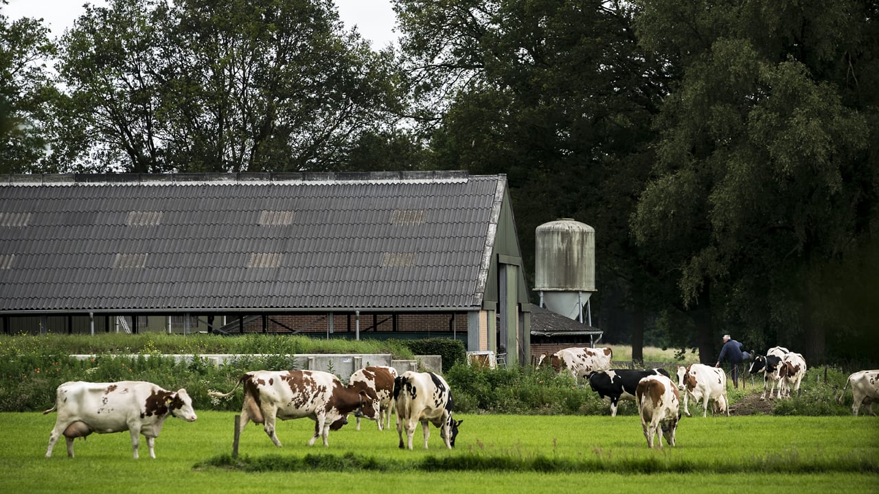Ingrijpende analyse kabinet, stikstofprobleem grootst in Noord-Brabant en Gelderse Vallei