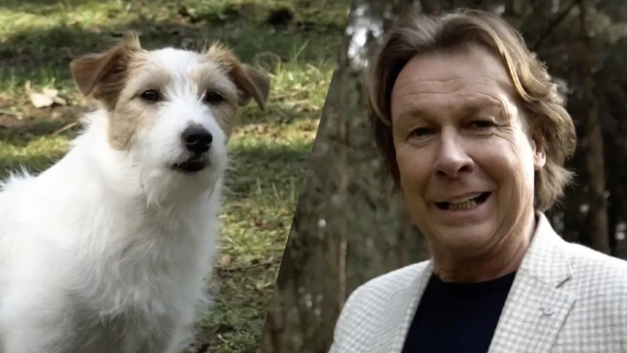 GOUD! Hansie Hansie schittert met honden in Only for Men-spotjes