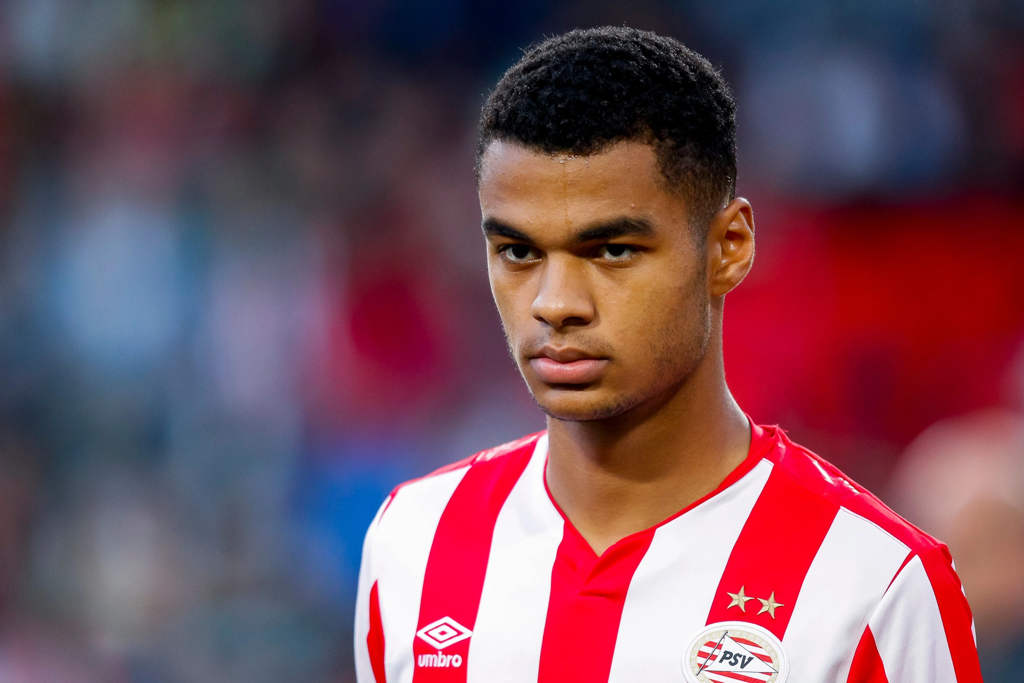 PSV verlengt contract met Gakpo