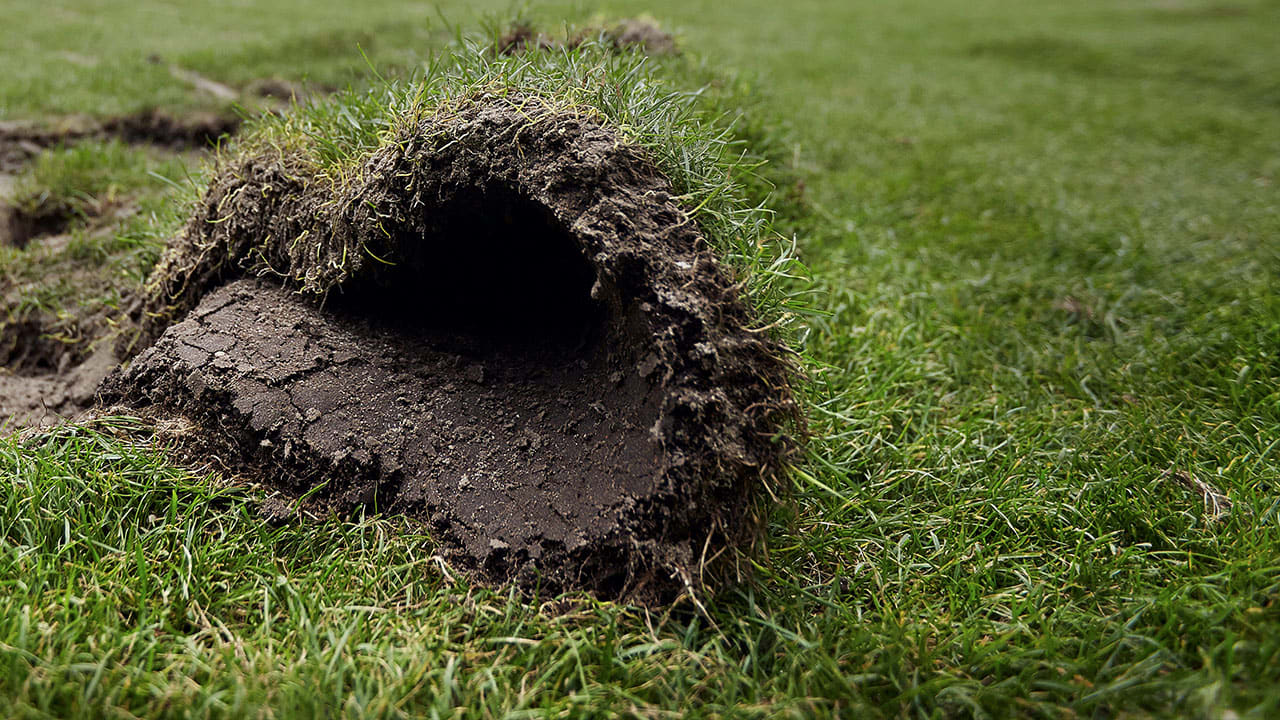 PEC Zwolle stapt bij handhaving over op natuurgras