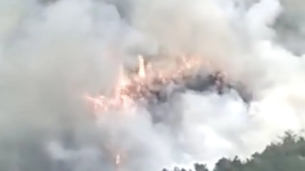 Vliegtuig met 133 inzittenden neergestort in China