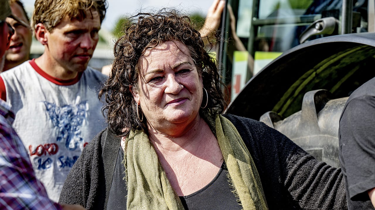 Caroline van der Plas pakt werkzaamheden weer op na bedreigingen