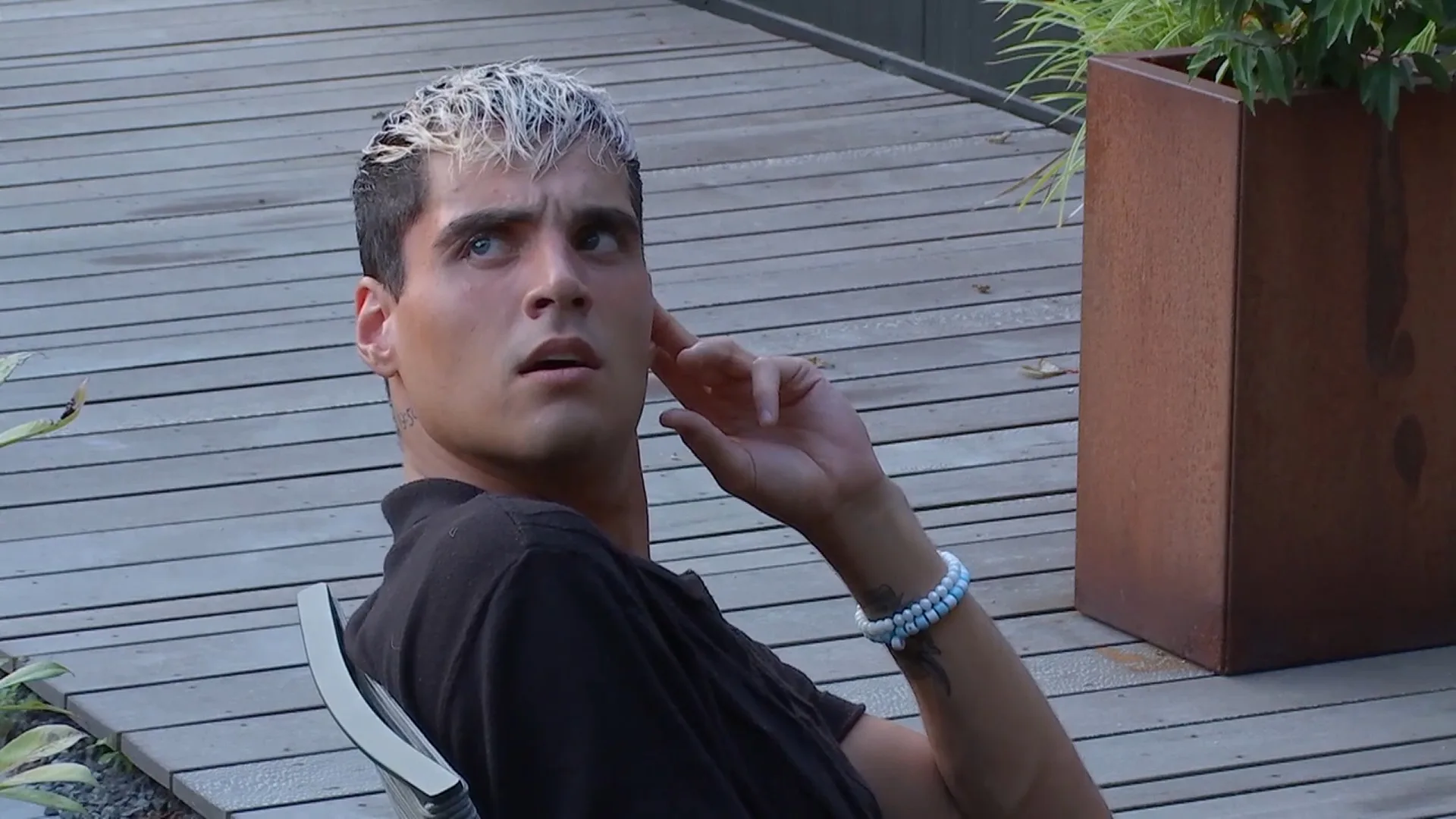 Celine vraagt zich af hoe vogels blijven vliegen: 'Het is toch raar dat een vogel in de lucht blijft'